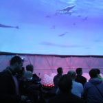 dome projection by Polidomes